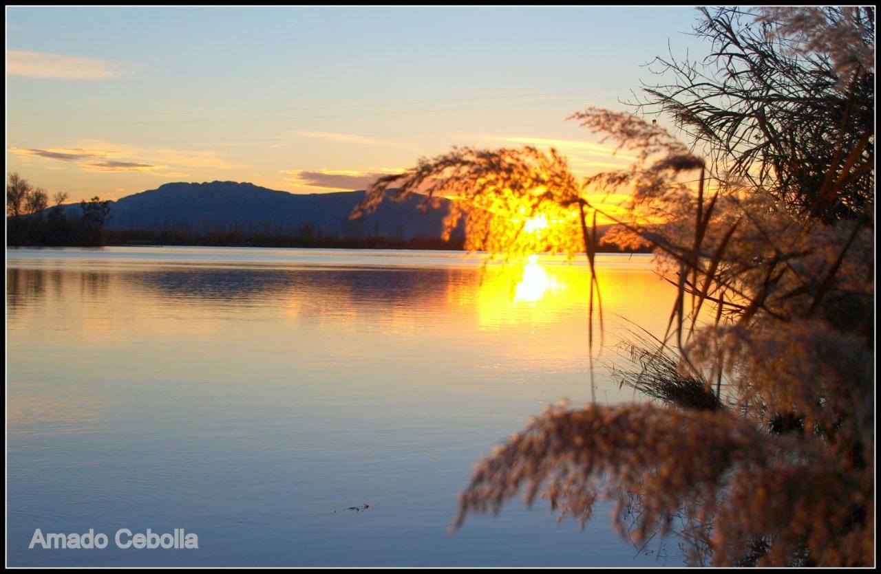 Villa Paquita - Delta De L'Ebre Deltebre Εξωτερικό φωτογραφία
